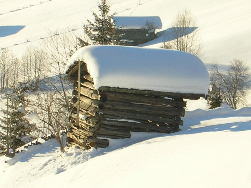 Apartment Haus Konrad Reith im Alpbachtal
